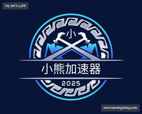 了解小熊加速器